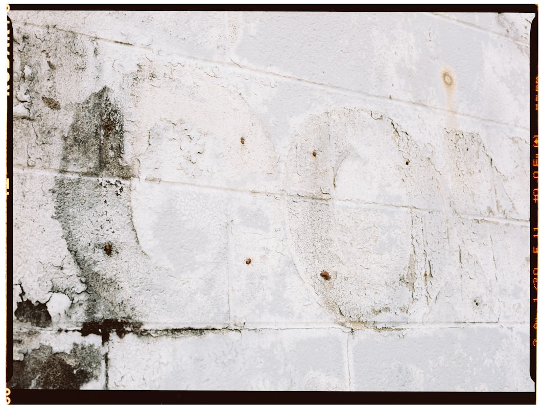 Storm Damage Repair service in Marysville, WA