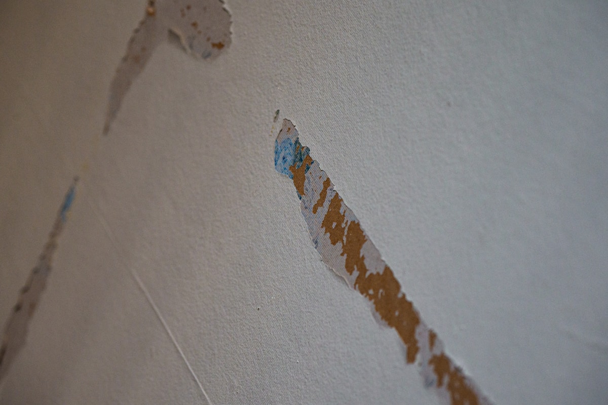 Basement Water Removal service in Marysville, WA